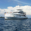 DYKSAFARI - 10 dagar/ 9 nätter - M/V ANDAMAN QUEEN - Phi Phi, Shark Point, Koh Haa, Hin Daeng, Hin Muang, Koh Lipe, Similan, Koh Bon, Tachai, Surin, Richelieu Rock (max 32 dyk)