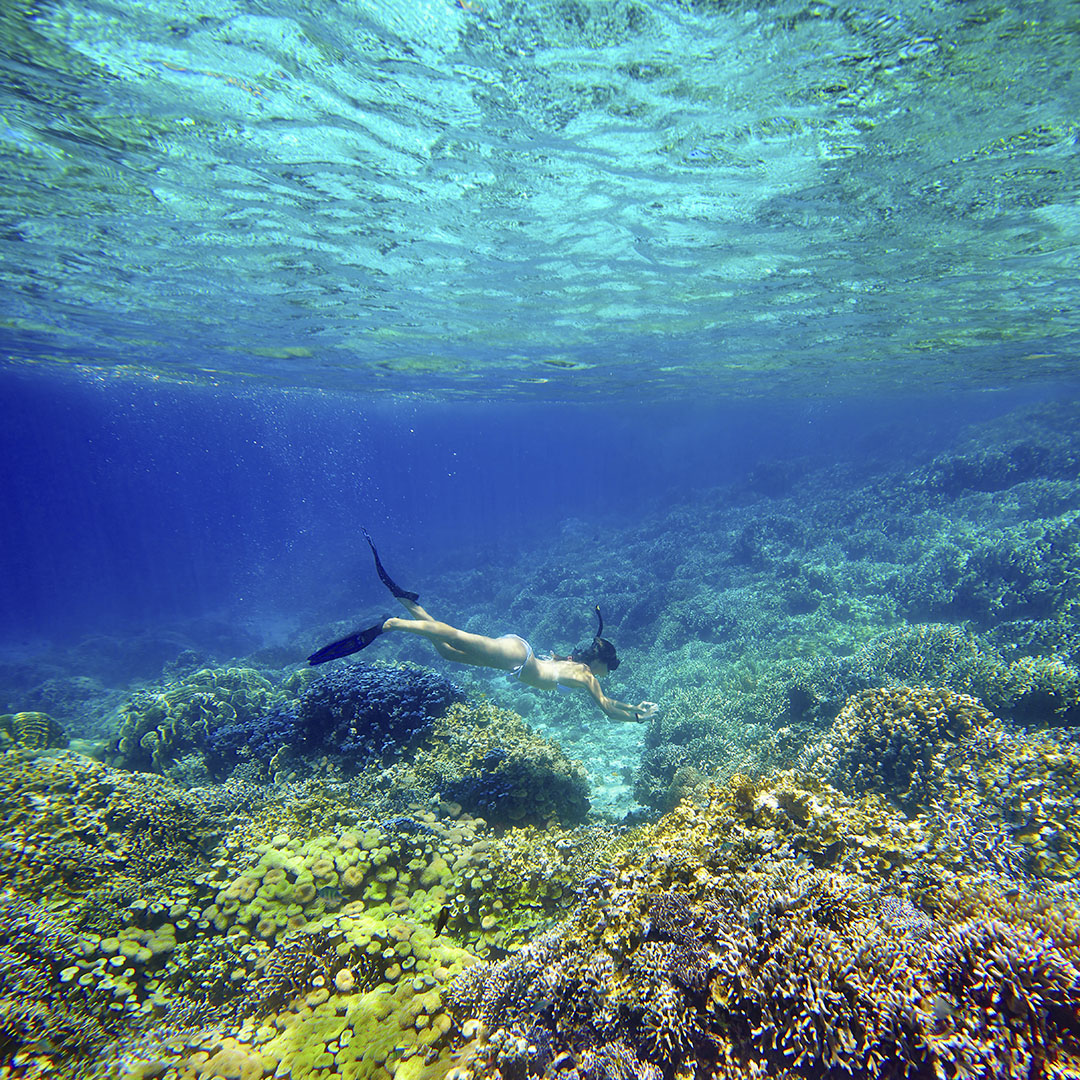 HALVDAGS - Snorkelsafari (från Phuket)