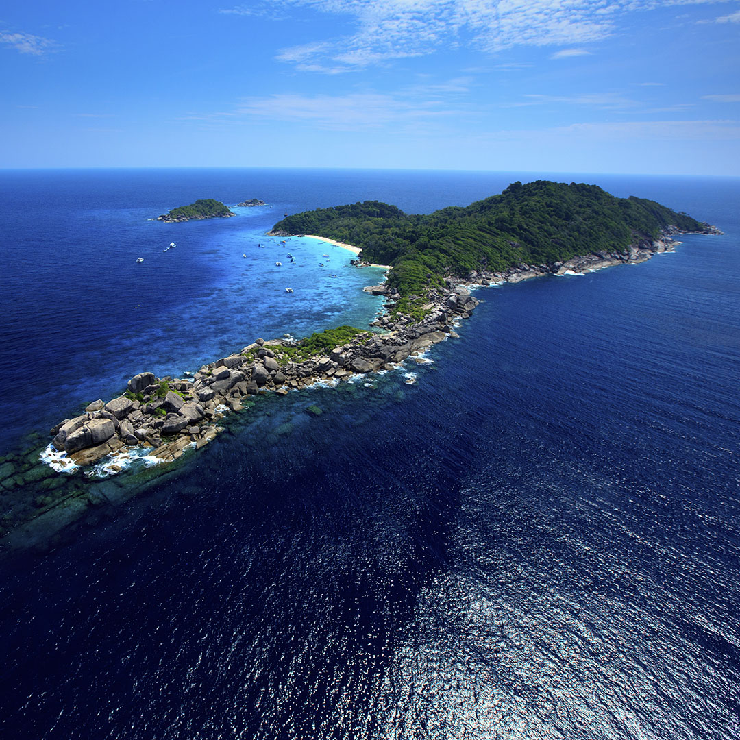 SIMILAN - Snorkelsafari (från Khao Lak)